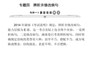 湘教考苑《专题四病句》