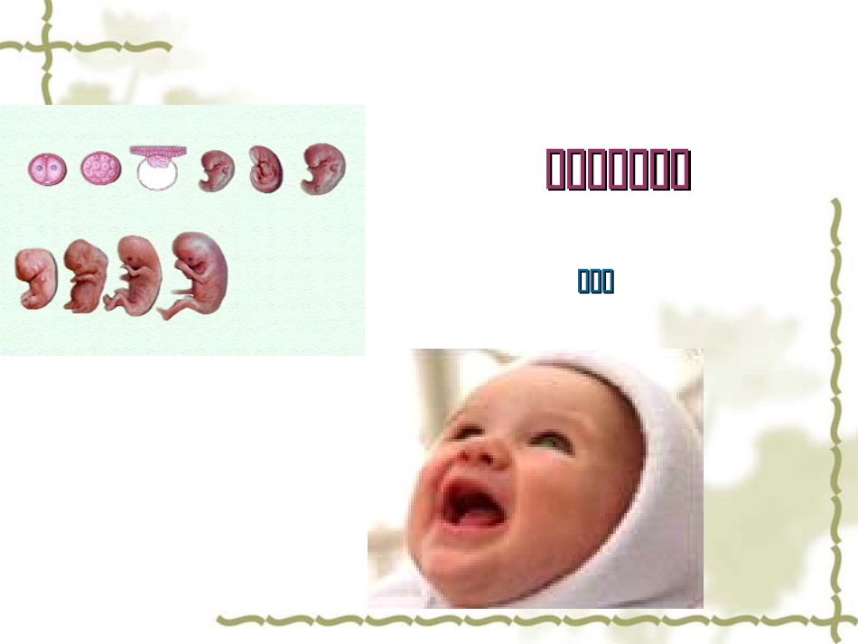 产程观察与处理_第1页