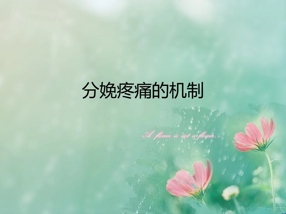 产程疼痛机制_第1页