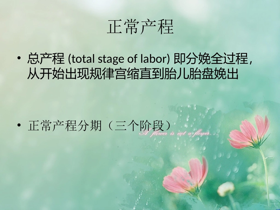 产程疼痛机制_第2页