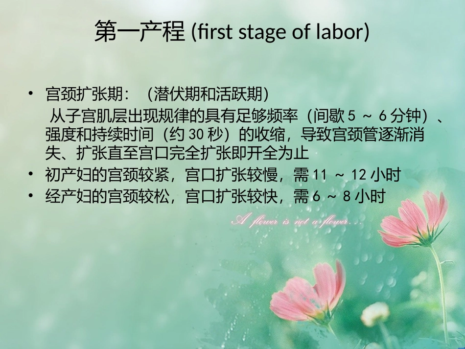 产程疼痛机制_第3页