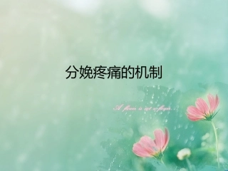 产程疼痛机制