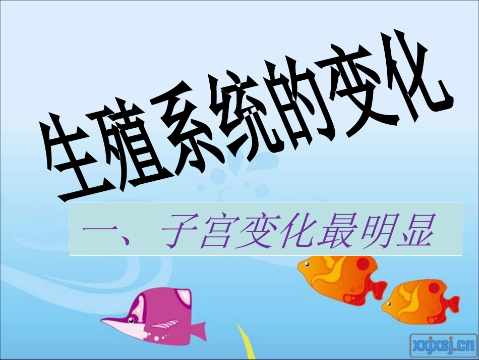 产前、产后的基本生理_第2页