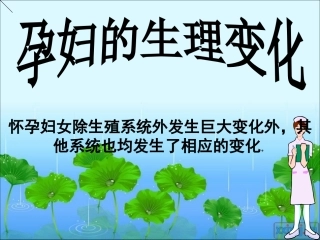 产前、产后的基本生理