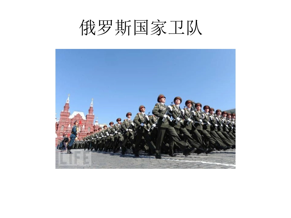 五花八门让人捧腹大笑的各国卫队_第2页