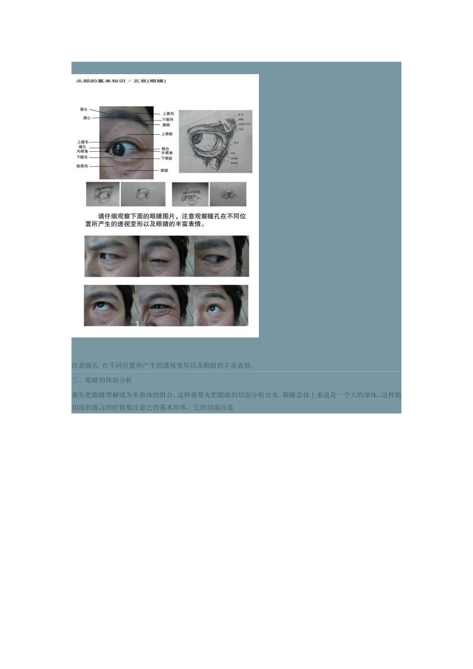五官基础知识_第2页
