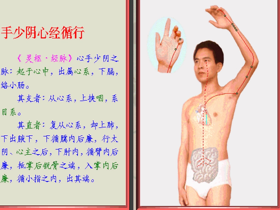 五、手少阴心经-该经经脉循行所联络的脏腑器官有心、小肠、肺讲解_第2页