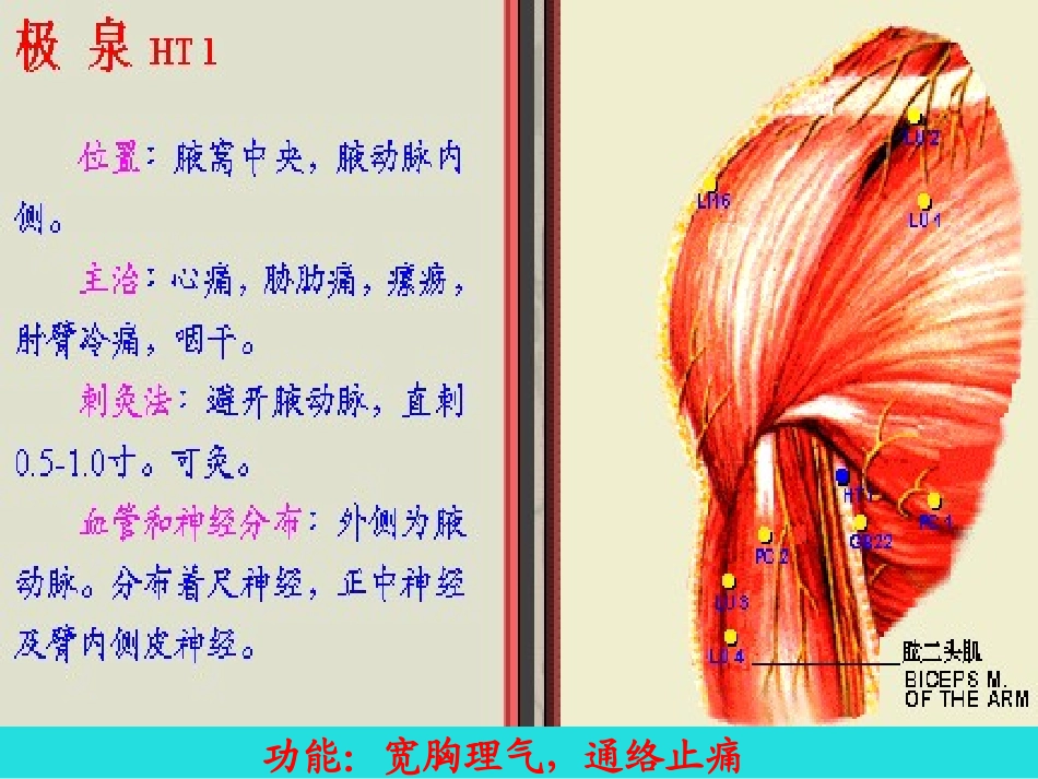 五、手少阴心经-该经经脉循行所联络的脏腑器官有心、小肠、肺讲解_第3页