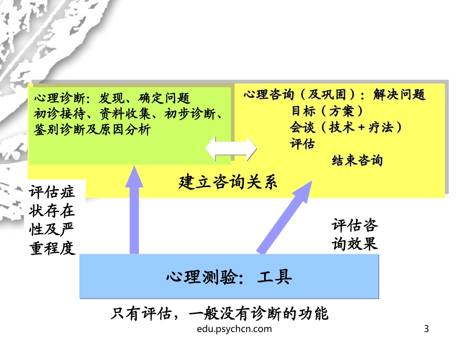 二级心理咨询师考试测验技能串讲_第3页