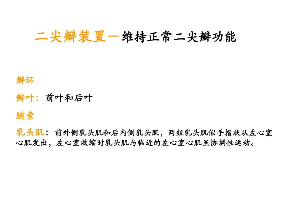 二尖瓣疾病的超声诊断_第1页