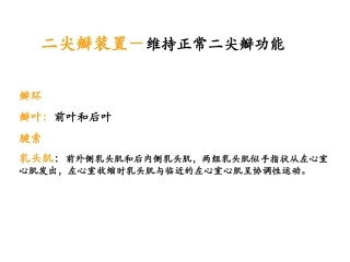 二尖瓣疾病的超声诊断
