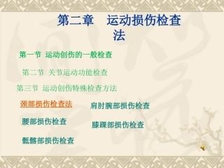 二、运动损伤检查法