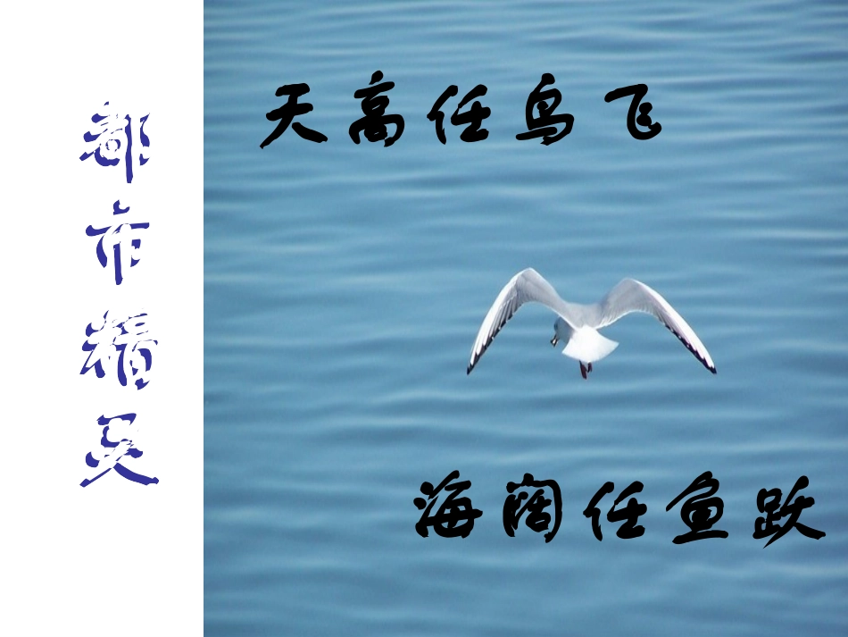 《都市精灵》_第2页