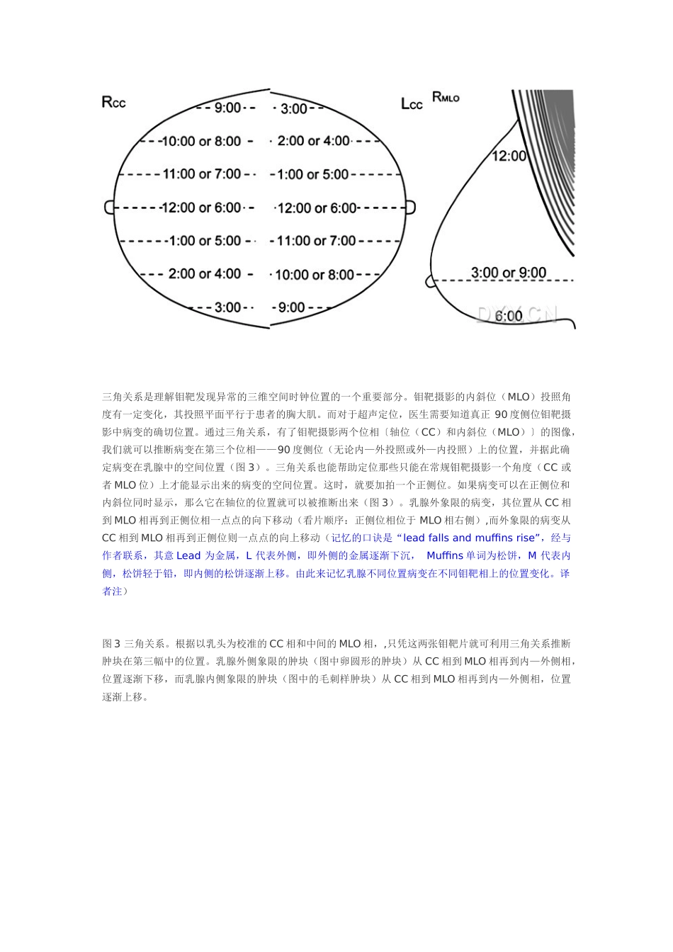 乳腺钼靶和超声对照_第2页