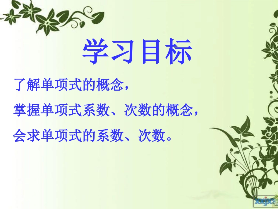 单项式课件-1_第2页