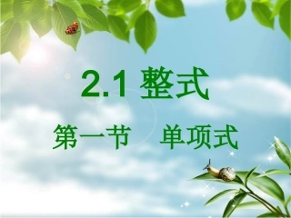 单项式课件-1