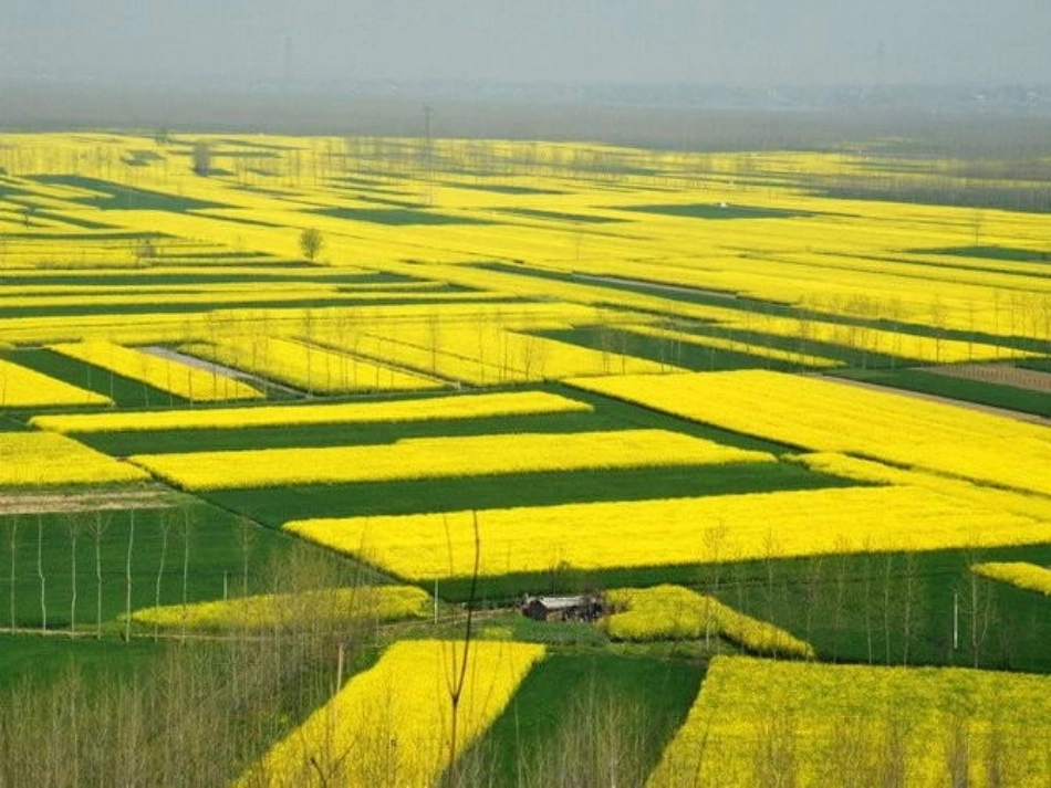 平行四边形的性质_第1页