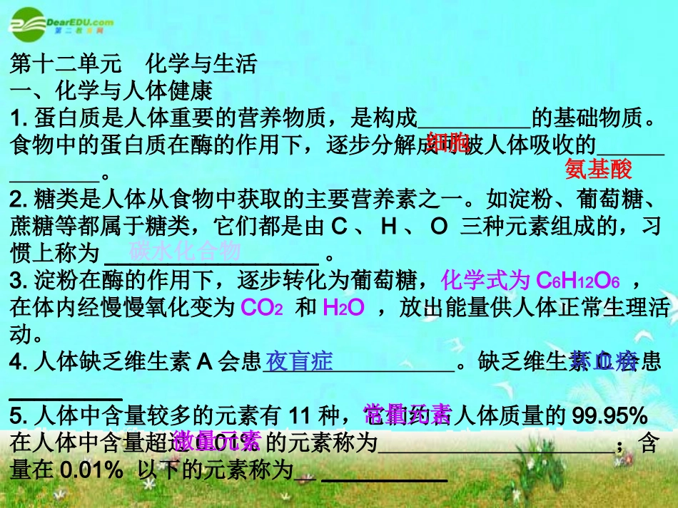 九年级化学_第十二单元化学与生活课件_人教版_第1页