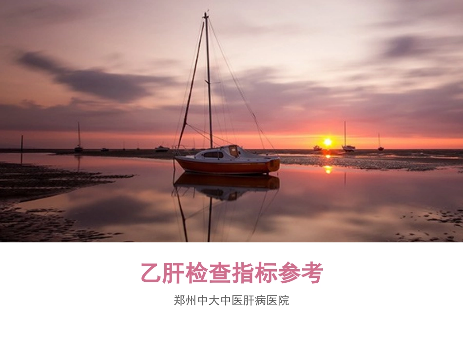 乙肝检查指标参考(专业知识)-郑州乙肝医院_第1页