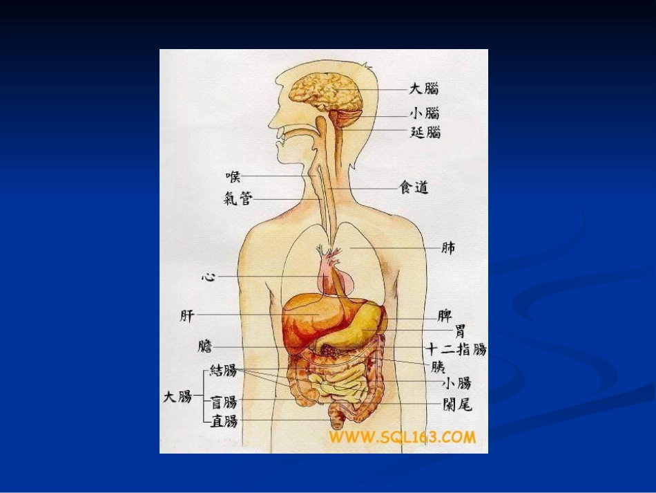 乙肝基础知识讲座_第2页