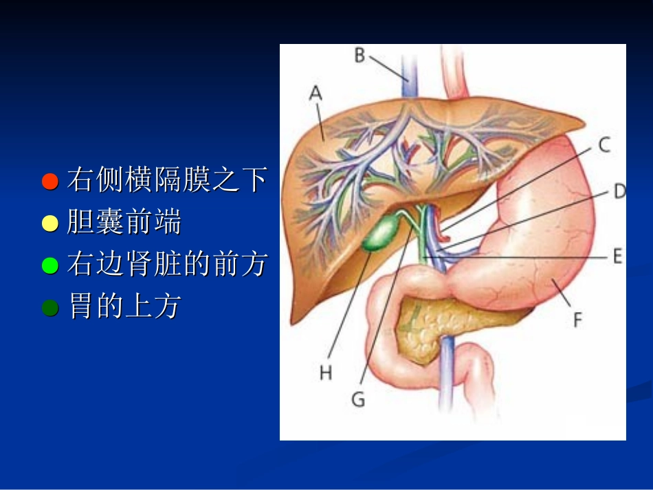 乙肝基础知识讲座_第3页
