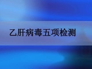 乙肝五项(2)