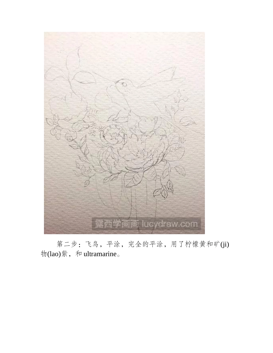怎么绘制蜂鸟与花水彩画教程_第2页