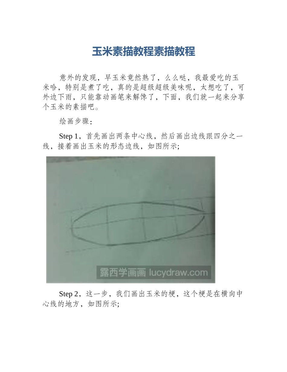 玉米素描教程素描教程_第1页