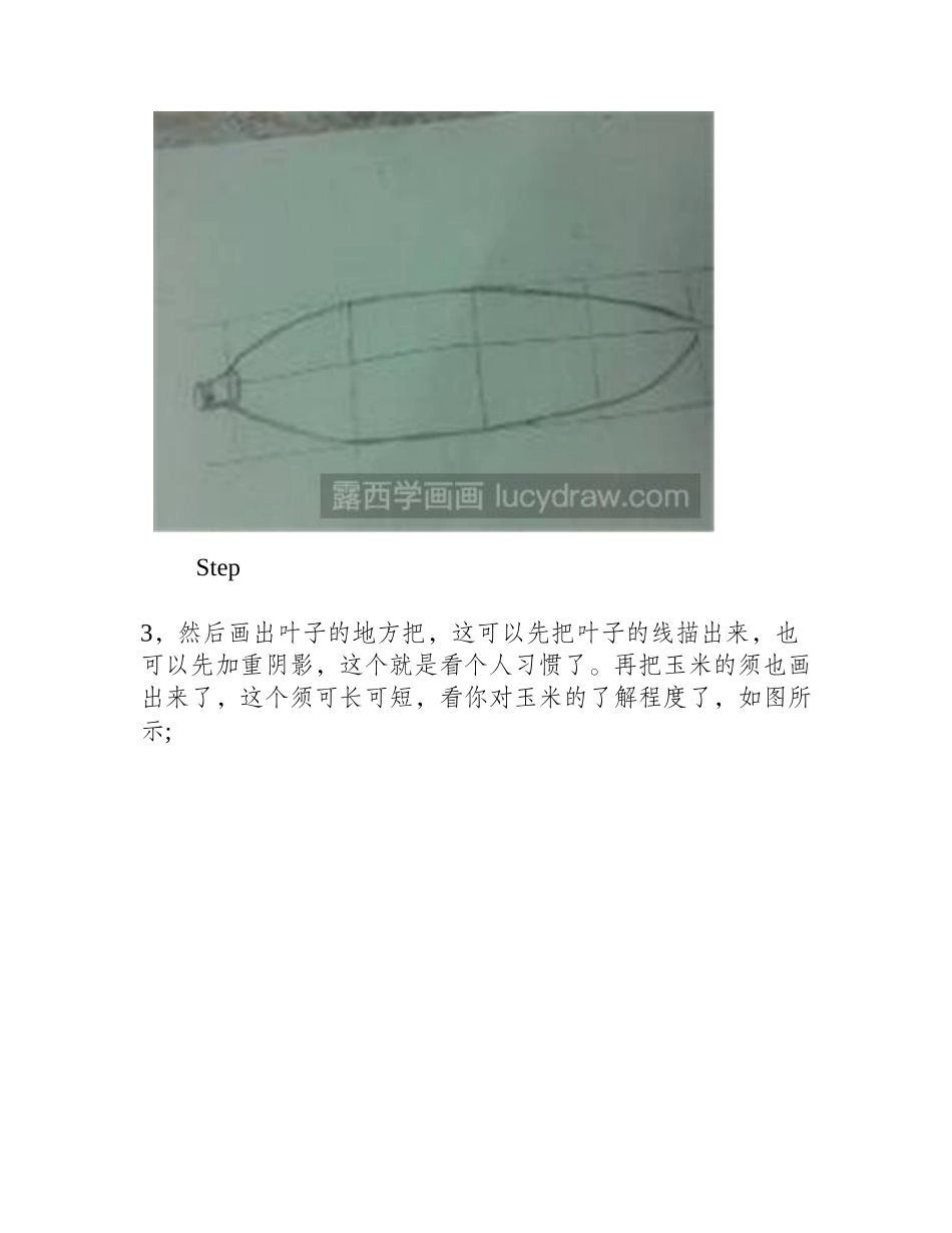 玉米素描教程素描教程_第2页