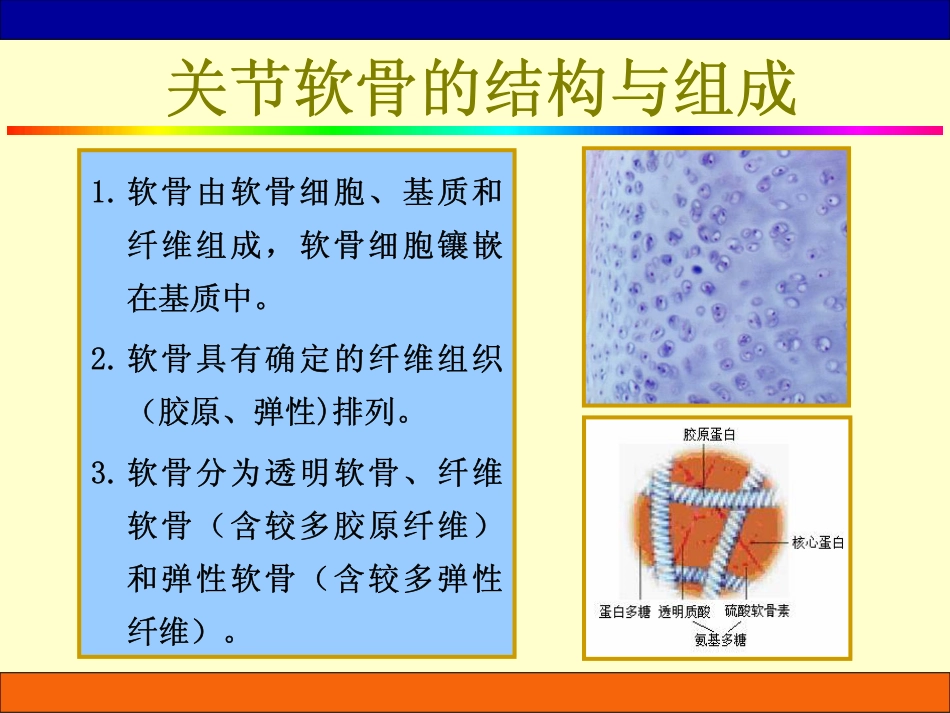 临床生物力学基础_3_第3页
