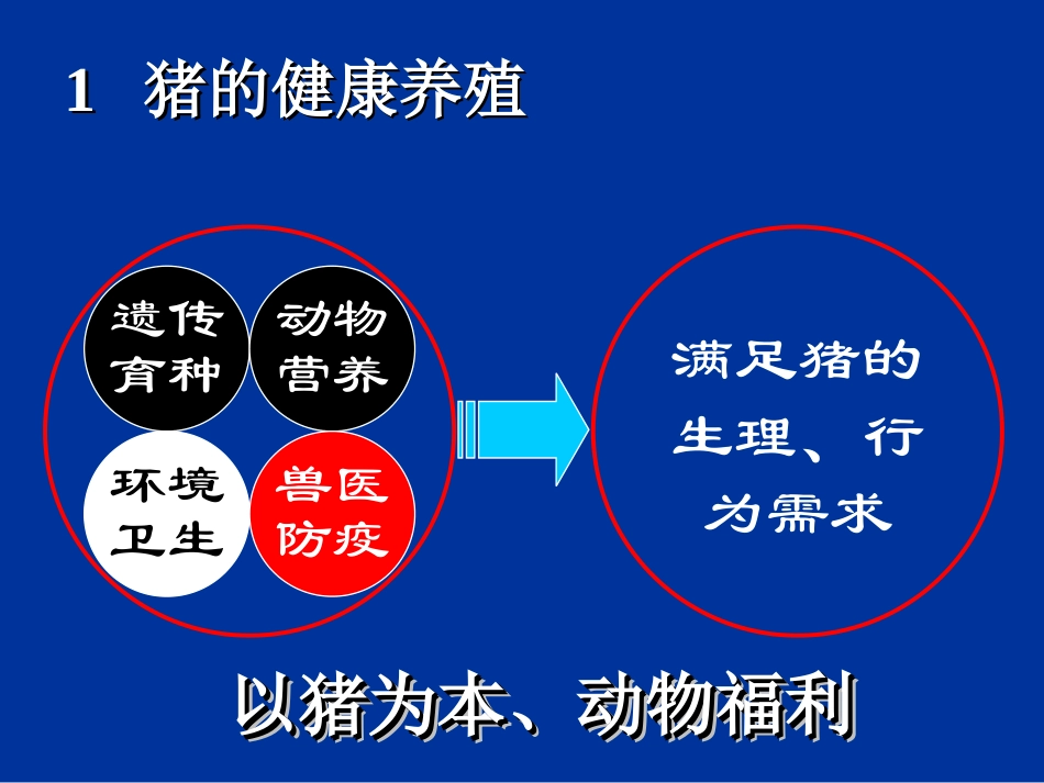中草药饲料添加剂重点_第3页