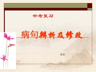 中考复习——病句辨析及修改分析
