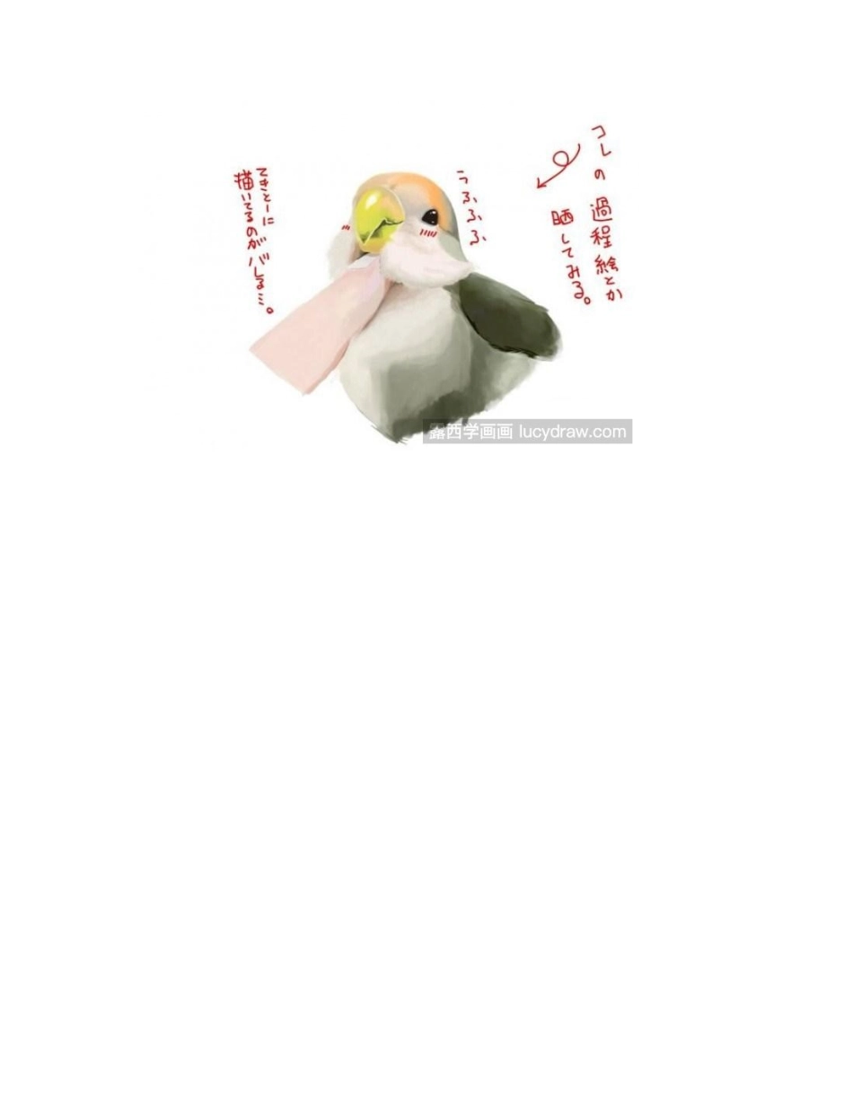 鹦鹉怎么画_手绘鹦鹉过程漫画教程_第2页