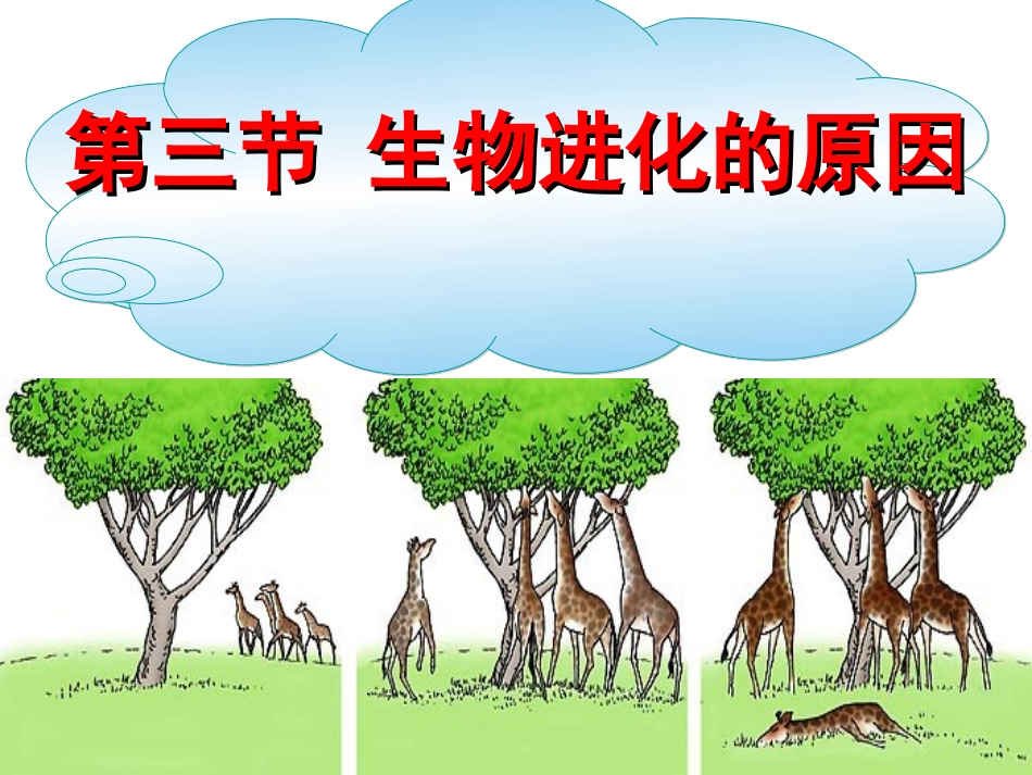 人教版八下第三章第三节生物进化的原因(共58张PPT)_第1页