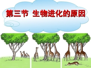 人教版八下第三章第三节生物进化的原因(共58张PPT)