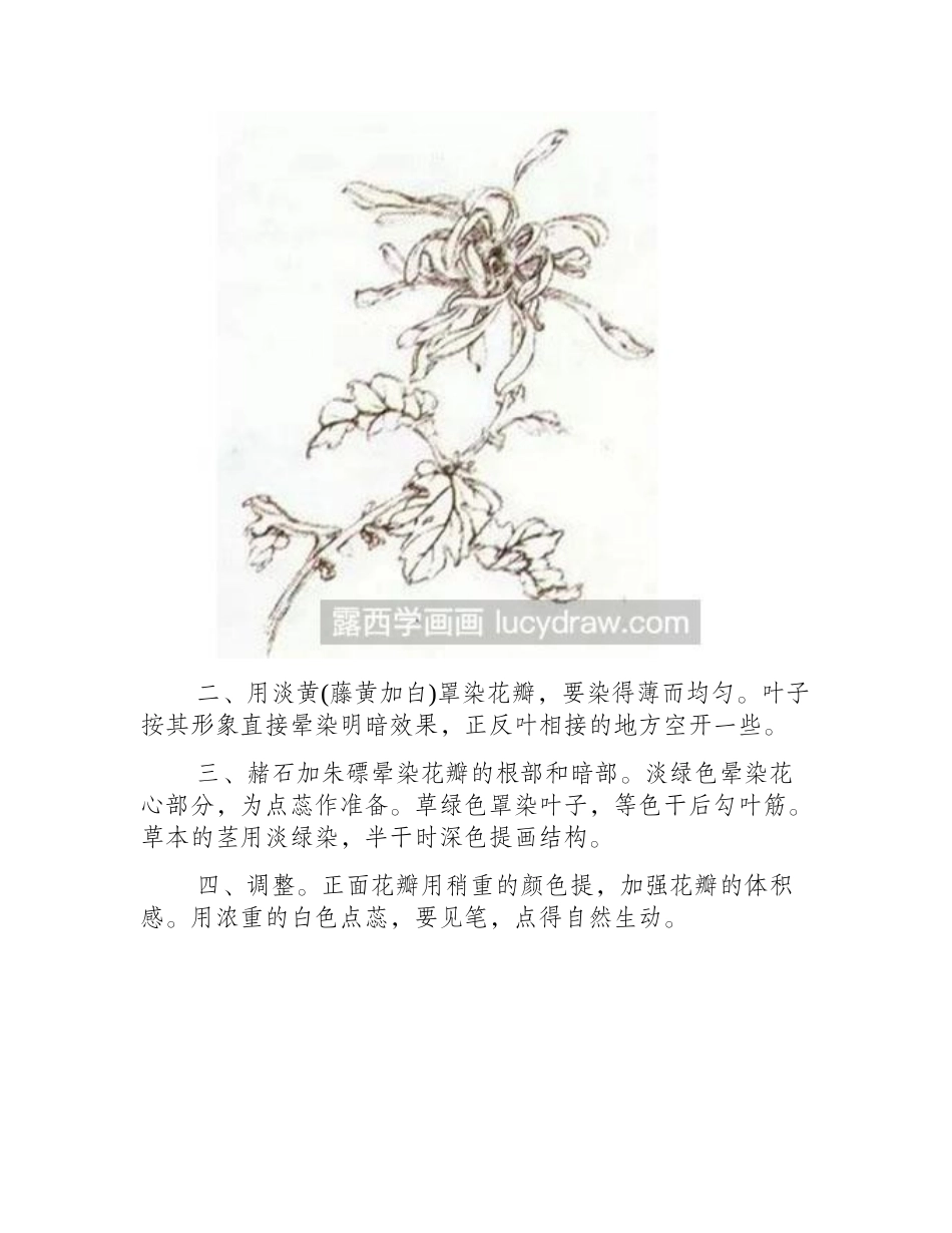 怎么画工笔画菊花工笔画教程_第2页