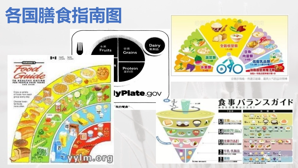 中国营养学会膳食宝塔_第3页