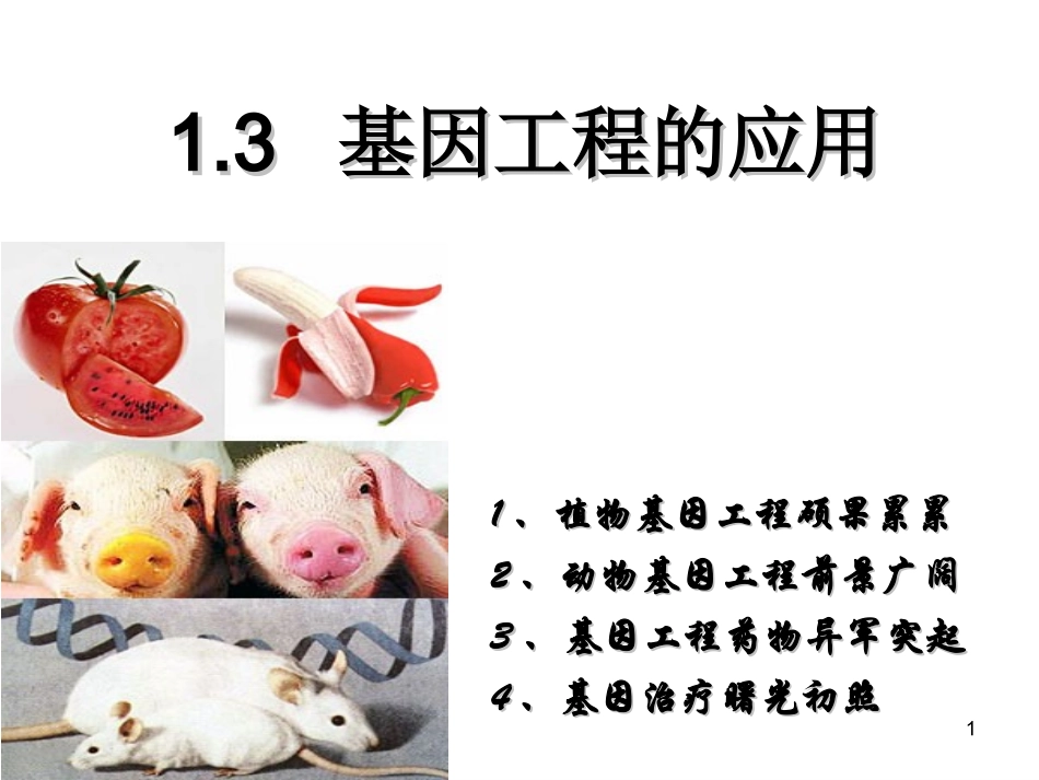 1.3基因工程的应用_第1页