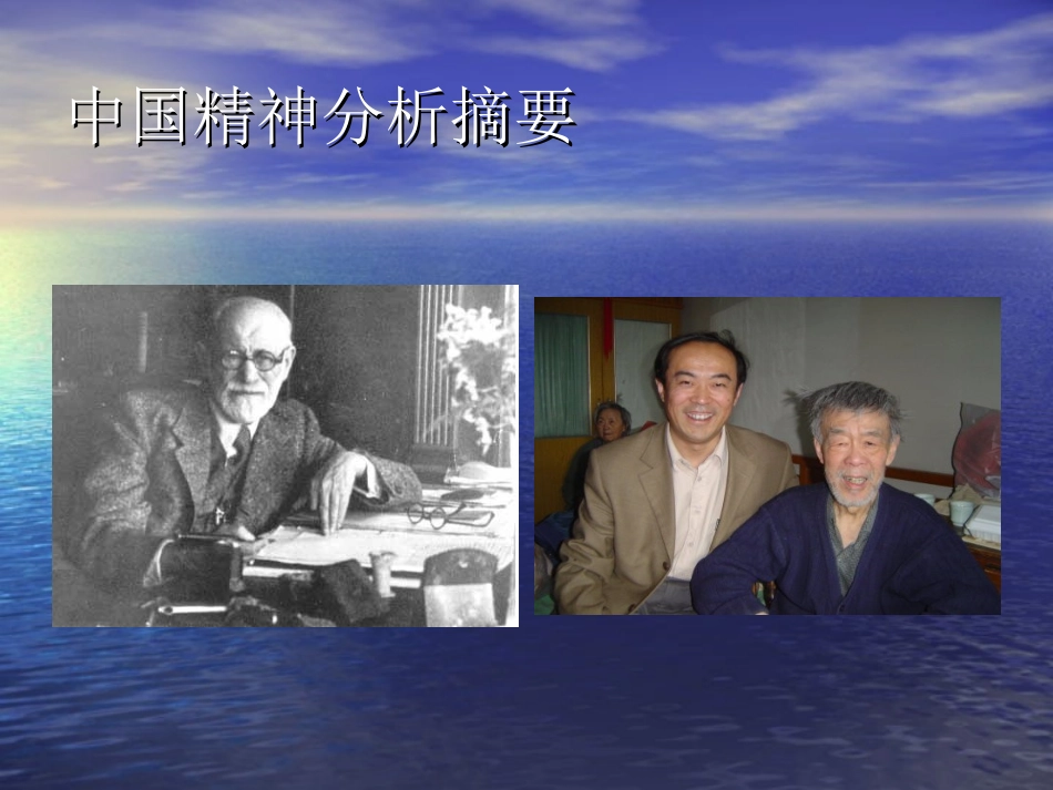 中国精神分析摘要_第1页
