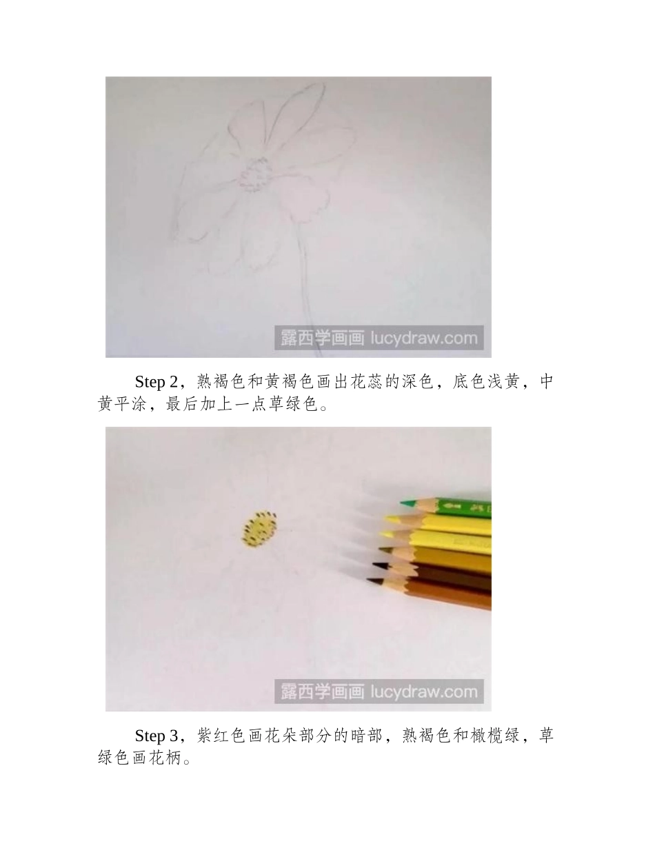 怎么用彩铅画格桑花彩铅画教程_第2页