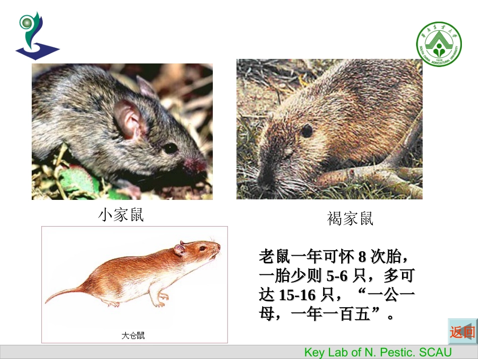 中国植物源农药的进展_第3页