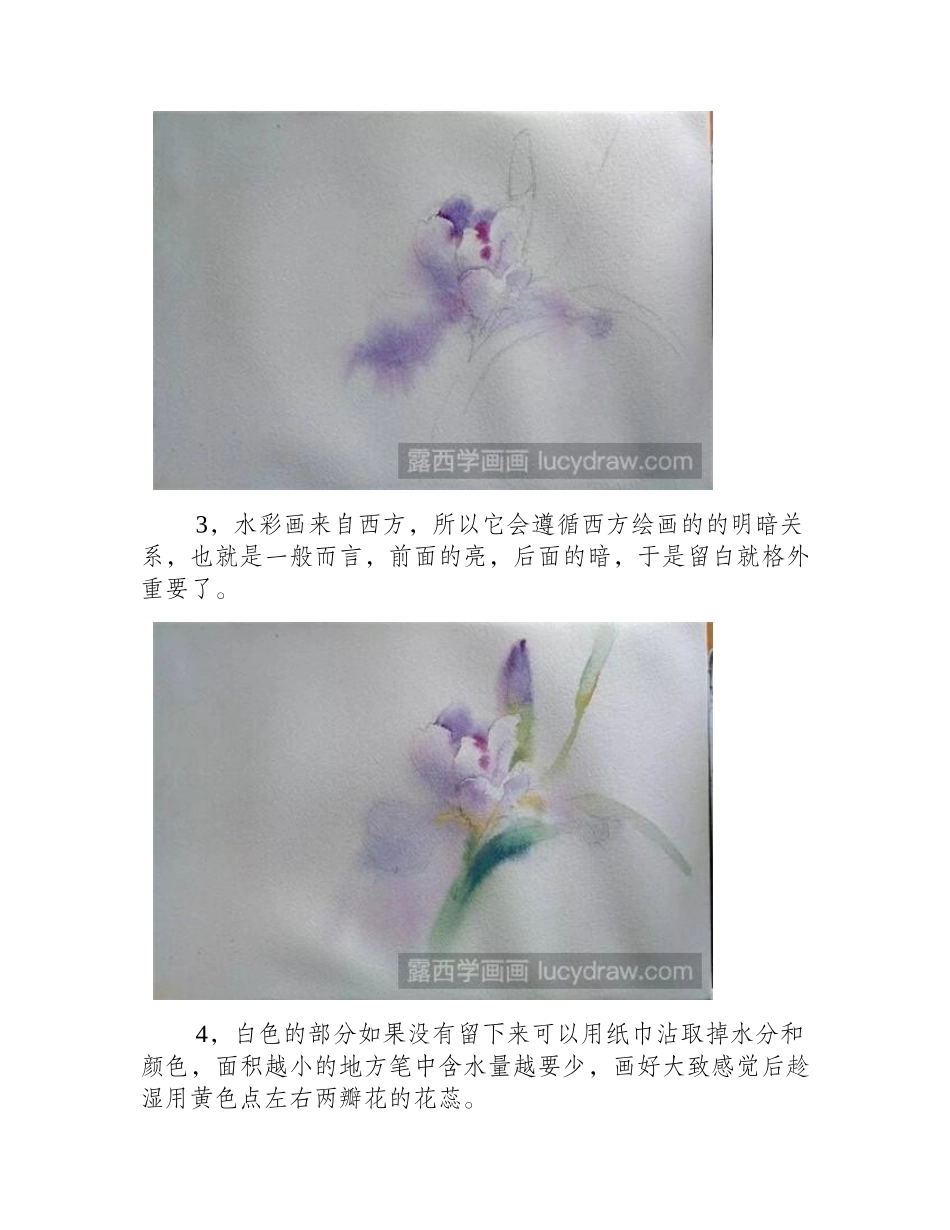 紫鸢尾水彩画教程水彩画教程_第2页