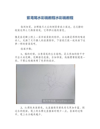 紫鸢尾水彩画教程水彩画教程