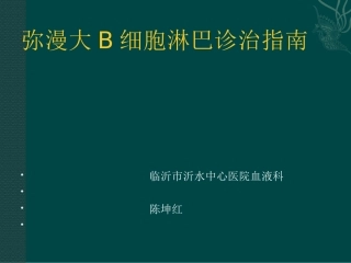 中国弥漫大B细胞淋巴瘤诊疗指南