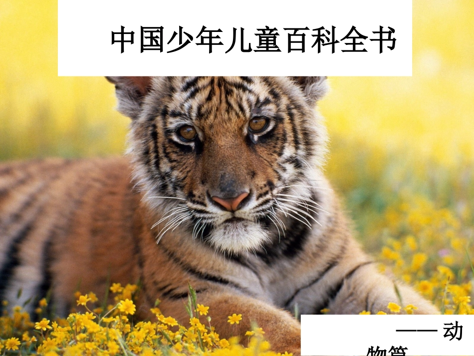 中国少年儿童百科_第1页