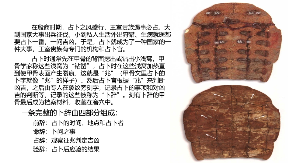 中国古典文献的载体形式之甲骨文_第3页