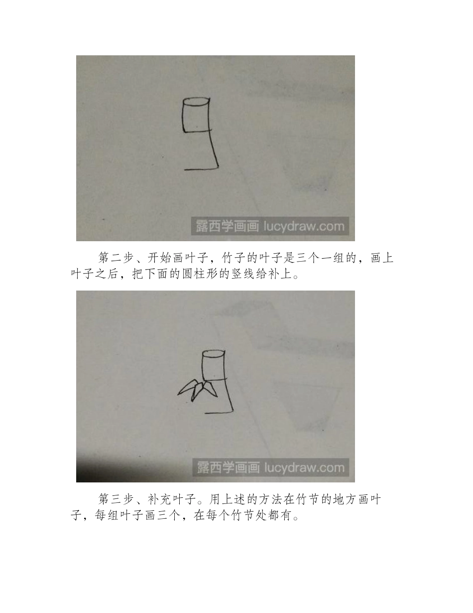 竹子怎么画才好看_简笔画教程_第2页