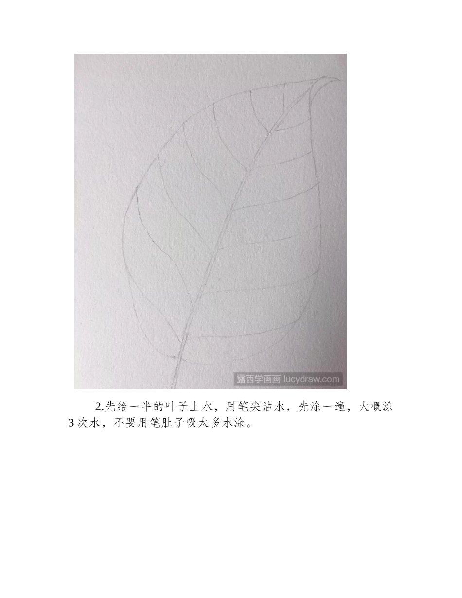 一片绿叶水彩画步骤是什么_水彩画教程_第2页