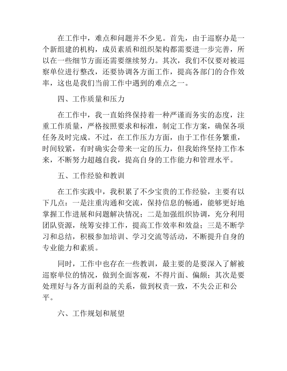 巡察办个人工作总结 _第2页