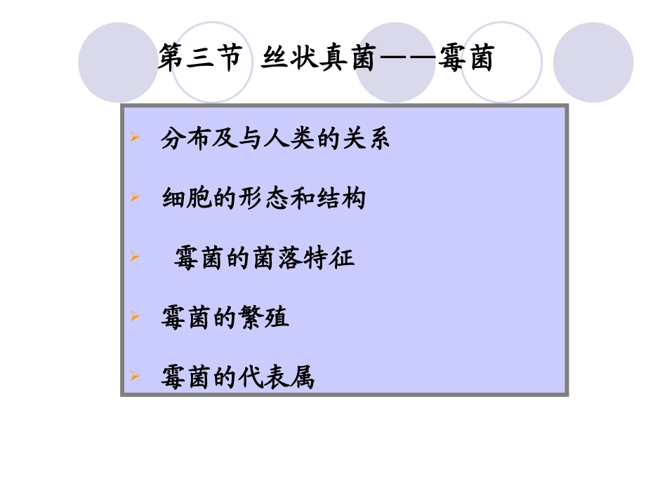 丝状真菌霉菌_第1页